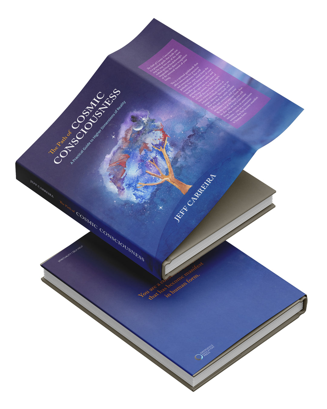 The Path of Cosmic Consciousness: A Practical Guide to Higher Dimensions of Reality