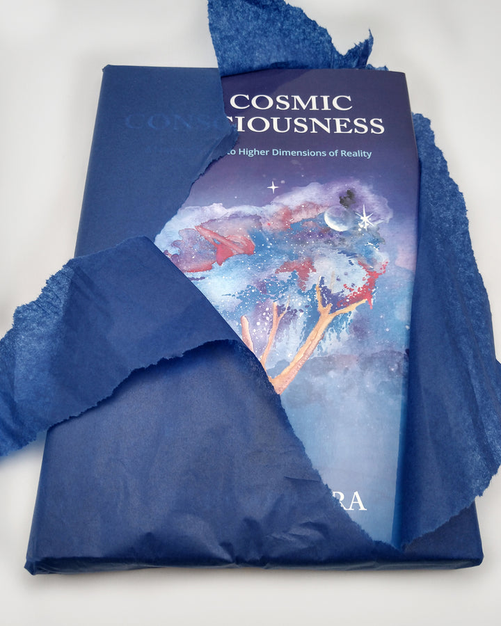 The Path of Cosmic Consciousness: A Practical Guide to Higher Dimensions of Reality